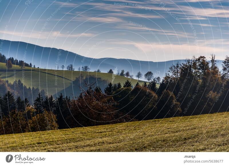 Blaue Berge Klima Herbst Wiese Baum Dunst Tourismus Umwelt Urelemente Himmel Horizont Nebel Hügel schön Aussicht Ferne Erholung Ausflug Natur Landschaft