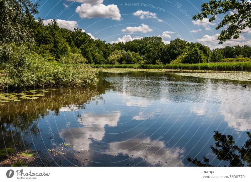 Charlottensee Wolken Urlaub Urlaubsstimmung Outdoor Wasserspiegelung Spiegelung Erholung friedlich ruhig Umwelt Wald Baum Ufer Schönes Wetter Bäume Himmel