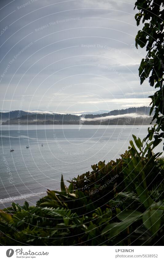 CR XXV. Blick auf Drake Bay Strand Küstenlinie Costa Rica Boote ankern Wasser Atlantikküste Aussicht ausblick Grünpflanze Umwelt Natur Sonnenaufgang