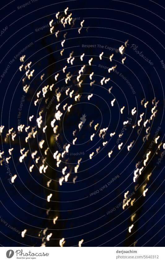 Tausend und ein Lichter erhellen die Nacht Lichterglanz leuchten festlich Lichterkette Stimmung glänzend funkeln Unschärfe Dekoration & Verzierung Vorfreude