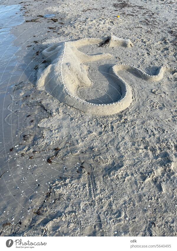 Wie es wirklich ist, am Ostseestrand einem Drachen zu begegnen… Strand Ufer Sand Sanddrache Wasser Küste Meer Wellen Ferien & Urlaub & Reisen Natur Sommer