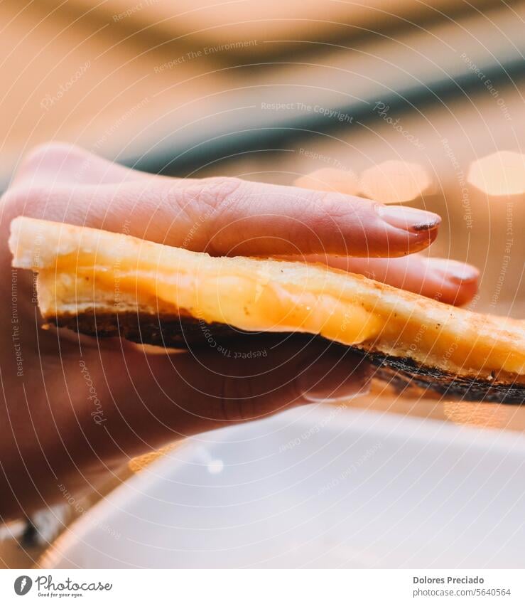 Warmes Schinken-Käse-Sandwich, getoastet mit Butter auf Brot appetitlich backen Bäckerei Bikini Frühstück Brunch Nahaufnahme Kruste knusprig Küche kulinarisch