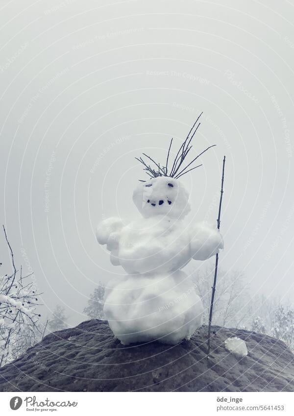 Die Frisur sitzt. Schneemann Winter kalt weiß Frost Jahreszeiten Kindheit Spielen Eis Natur