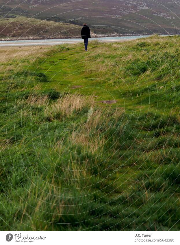 nicht erkennbarer Spaziergänger genießt die Ruhe in der Natur Person Gras grün schlendernd spazieren gehen Trampelpfad Erholung nachdenken Landschaft