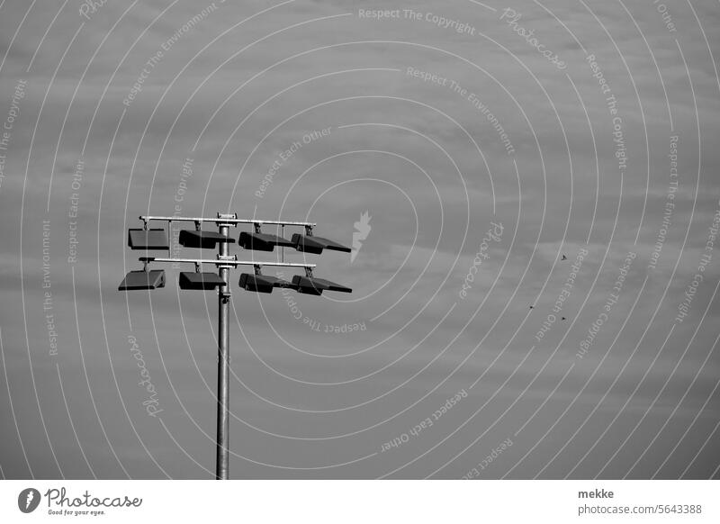 trübes Flutlicht Scheinwerfer Beleuchtung Stadion Lampe Licht Sportstätten Kunstlicht Wolken Himmel Fußballplatz Fußballstadion Nacht hell Tribüne