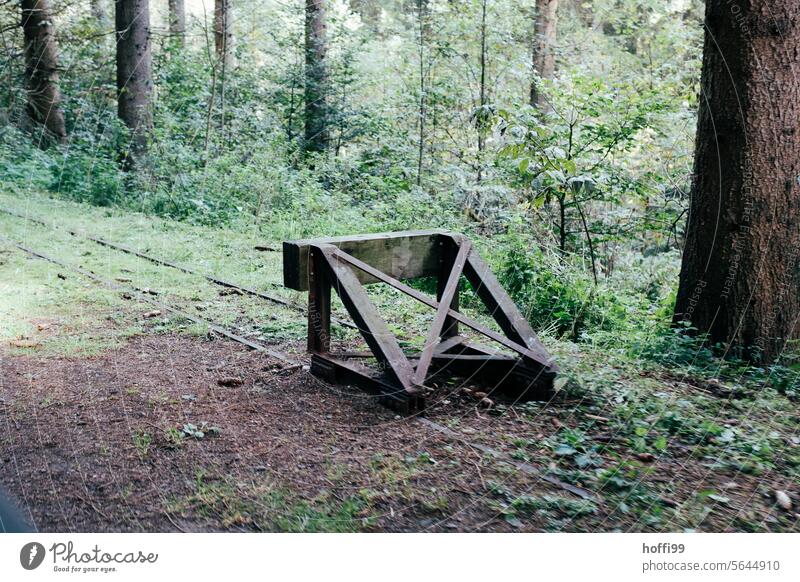 einsamer Prellbock einer stillgelegten Bahnstrecke im Wald Stillgelegt alt Eisenbahn Gleise Verkehr Schienenverkehr Schienennetz verlassen verlassenes Gebiet