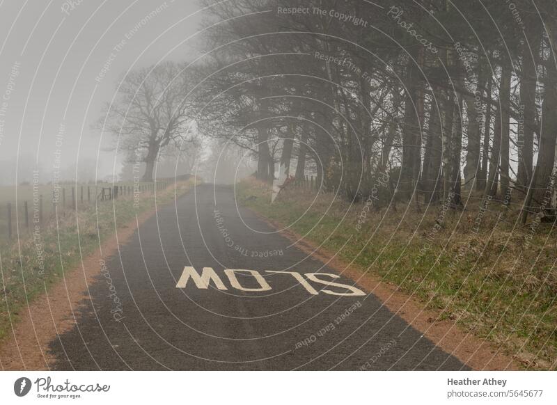 Landstraße im Vereinigten Königreich an einem nebligen Wintertag Nebel Wetter ländlich Straße Fahrspur langsam northumberland Großbritannien Natur kalt