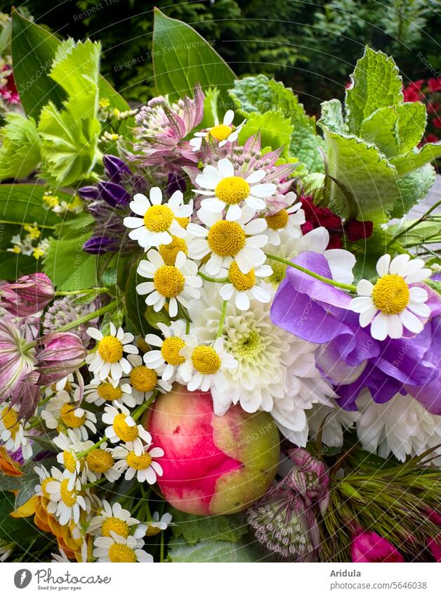 Kleiner Blumengruß Blumenstrauß Sommer bunt Blüte schön Dekoration & Verzierung Glückwunsch Strauß Geburtstag Aufmerksamkeit Geschenk Valentinstag Liebe