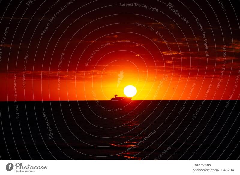 Sonnenuntergang über dem Meer mit einem Schiff am Horizont Ansicht in Bewegung Landschaft Windstille friedlich Nordsee Sommer außerhalb reisen Dämmerung Ostsee