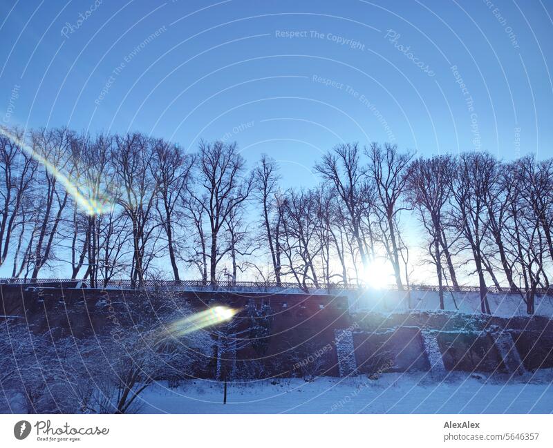 Backstein Stadtmauer mit Bäumen im Winter im Gegenlicht von unten fotografiert - mit Linsenreflexionen Wall Wallmauer Backsteinmauer groß hoch dick Bauwerk