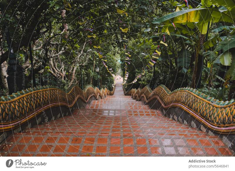 Leere Treppen zwischen exotischen Bäumen, die zu einem Tempel in Thailand führen, von oben buddhistisch Buddhismus Treppenhaus Ornament tropisch Garten Pflanze