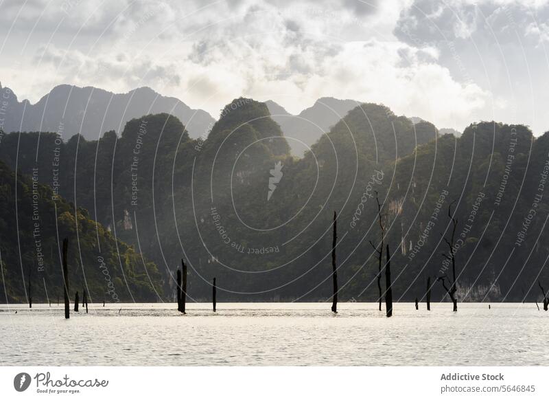 Cheow Lan See umgeben von Bergen im Sonnenlicht in Thailand Natur Berge u. Gebirge tropisch Park Landschaft Umwelt vegetieren exotisch Khao Sok Nationalpark