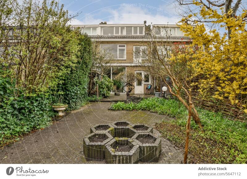 Garten mit Pflanzgefäßen und Haus im Hintergrund Pflanzer Boden Baum geräumig Hinterhof patio Rücken Hof Straßenbelag Beton mehrstöckig heimwärts Fenster Tür