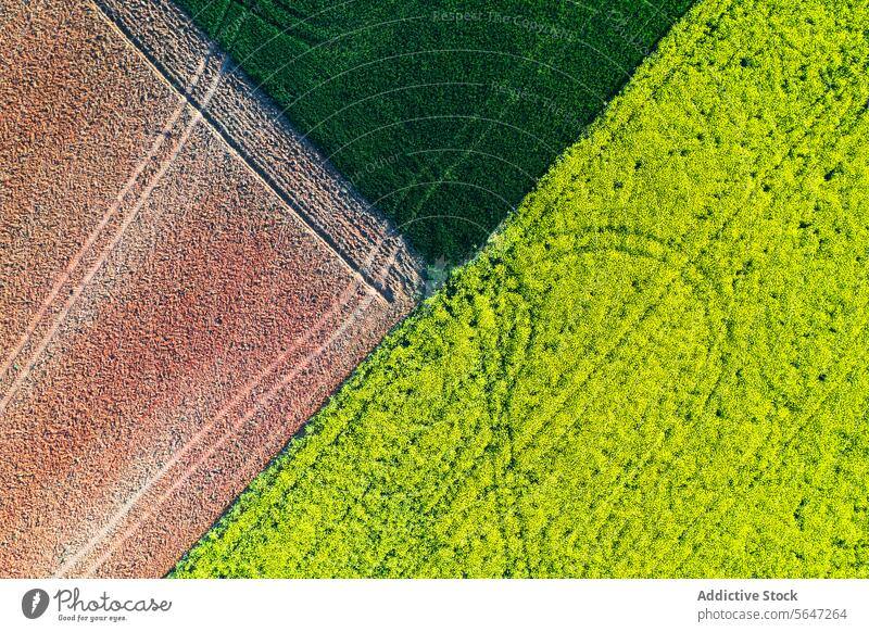 Strukturierte Luftaufnahme von Ackerland mit geometrischen Mustern von gepflügten Feldern in Grün-, Gelb- und Brauntönen Antenne Ansicht grün gelb braun Ton