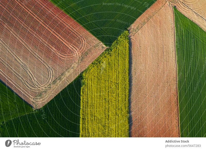 Strukturierte Luftaufnahme von Ackerland mit geometrischen Mustern von gepflügten Feldern in Grün-, Gelb- und Brauntönen Antenne Ansicht grün gelb braun Ton