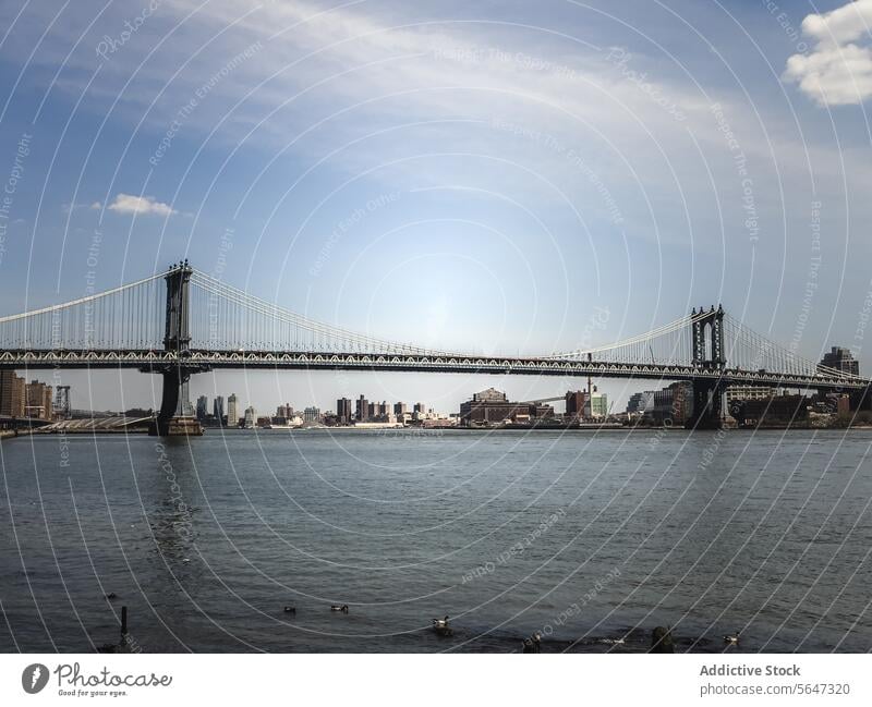 Manhattan Bridge bei strahlend blauem Himmel in New York Brücke Skyline Fluss Stadtbild Architektur Wahrzeichen East River urban New York State Cloud Turm