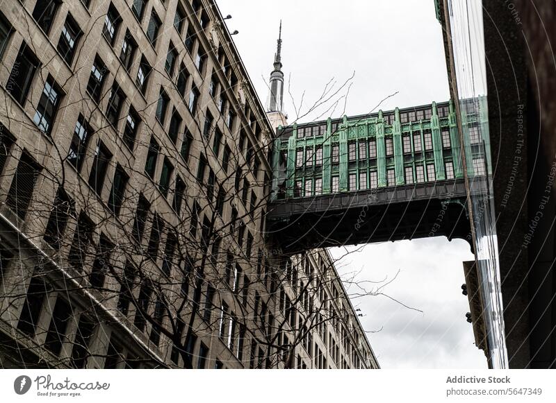 Grüne Skywalk-Brücke zwischen zwei Wolkenkratzern Gebäude Architektur urban Großstadt Straße Fassade Konstruktion Außenseite Blauer Himmel Infrastruktur Revier