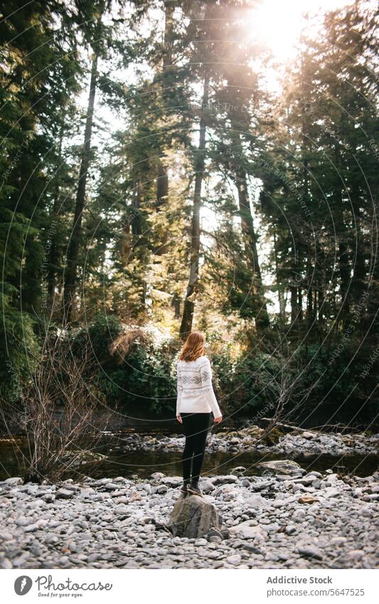 Frau in einem ruhigen Waldstück am Sombrio Beach, Vancouver Island British Columbia Kanada Konifere Bach Rückansicht Sombrio Strand Kieselsteine einsiedlerisch