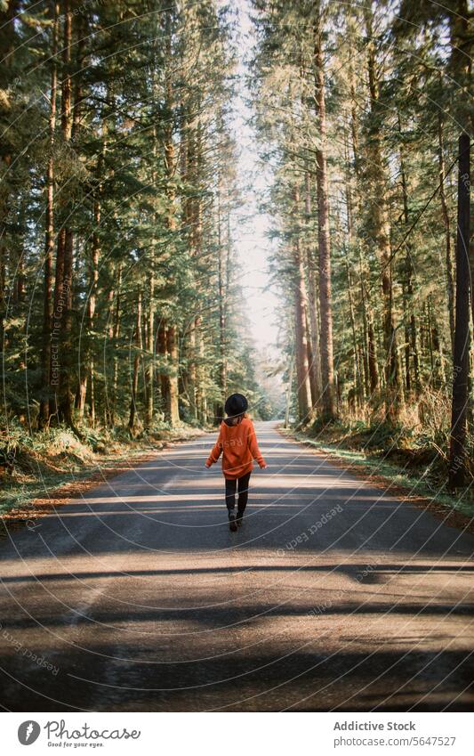 Unbekannte Frau in ruhigem Spaziergang im Avatar Grove, Vancouver Island Forest Person Wald Straße Bäume British Columbia Avatar-Hain Kanada Gelassenheit