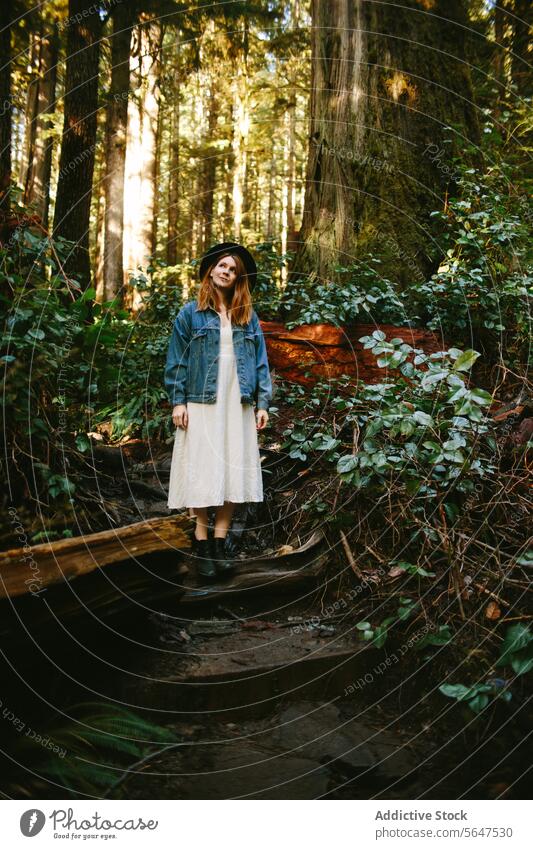 Junge Frau erkundet einen Wald in Avatar Grove, Vancouver Island British Columbia Kanada Natur Nachlauf Avatar-Hain Bäume Erkundung im Freien lässiger Stil