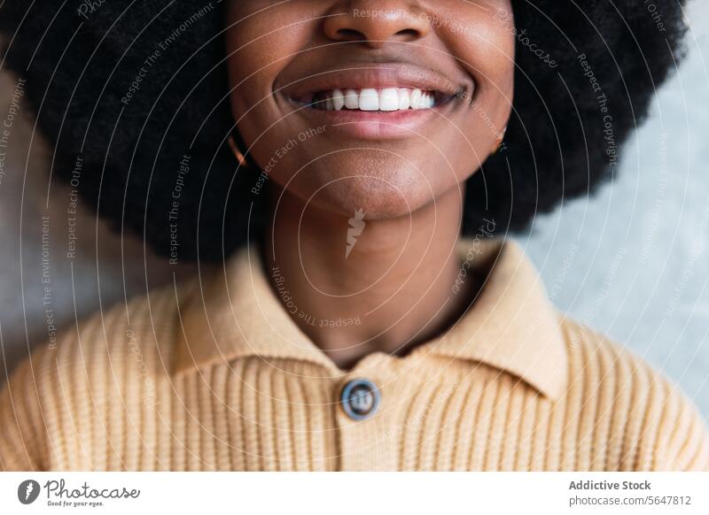 Ausschnitt einer schwarzen Frau, die in die Kamera schaut Lächeln Porträt heiter Afro-Look Vorschein lustig Afroamerikaner krause Haare jung heimwärts positiv