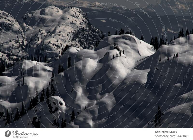 Panoramaaussicht auf schneebedeckte Berge Berge u. Gebirge massiv schön Kiefer Baum Himmel Winter malerisch Ansicht weiß Schnee majestätisch atemberaubend