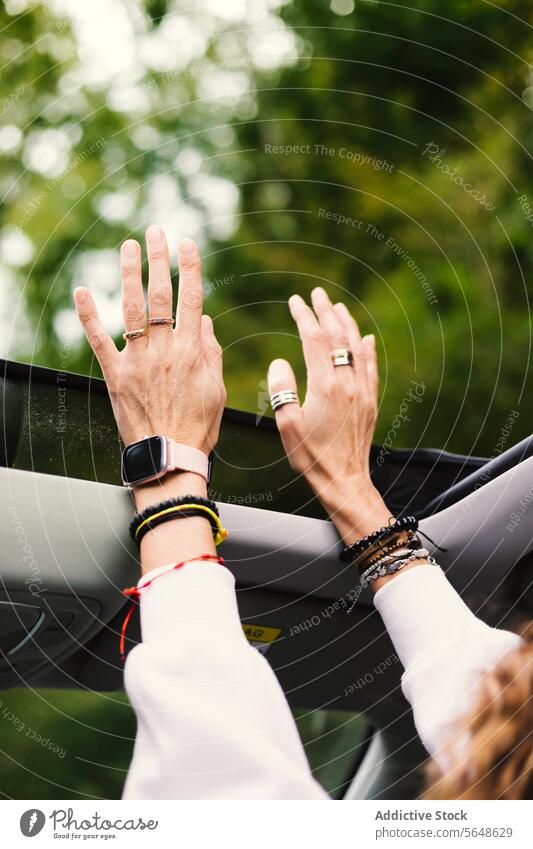 Person, die ihre Hände auf ein geparktes Fahrzeug legt Hand Natur Schiebedach gestikulieren Flora manifestieren Umwelt Pflanze grün Park Tageslicht