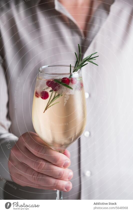 Eleganter Rosmarin-Wintercocktail mit Beeren Cocktail Preiselbeere Garnierung trinken Glas Hand Halt Erfrischung Getränk alkoholisch Mixologie elegant Zweig