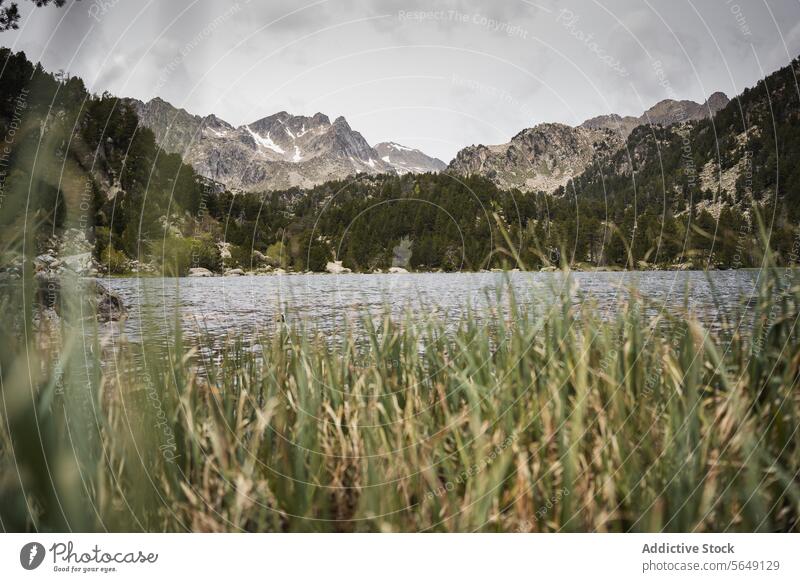 Erstaunliche Aussicht auf den ruhigen See und die Berge bei Tageslicht Berge u. Gebirge erstaunlich majestätisch Windstille malerisch Umwelt Nationalpark Natur