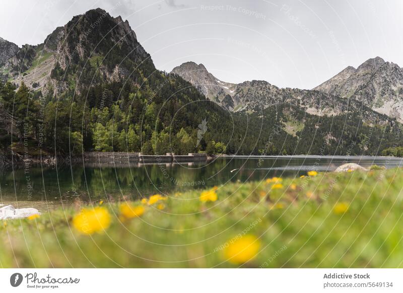 Erstaunliche Aussicht auf den ruhigen See und die Berge bei Tageslicht Berge u. Gebirge erstaunlich majestätisch Windstille malerisch Umwelt Nationalpark Natur