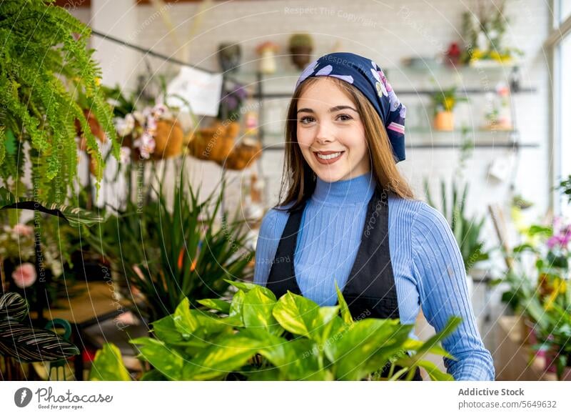 Junge lächelnde Frau mit Epipremnum aureum in einem Übertopf in der Floristik pothos Geldpflanze Lächeln Pflanzer Kasten Blumenhändler Arbeit führen Besitzer