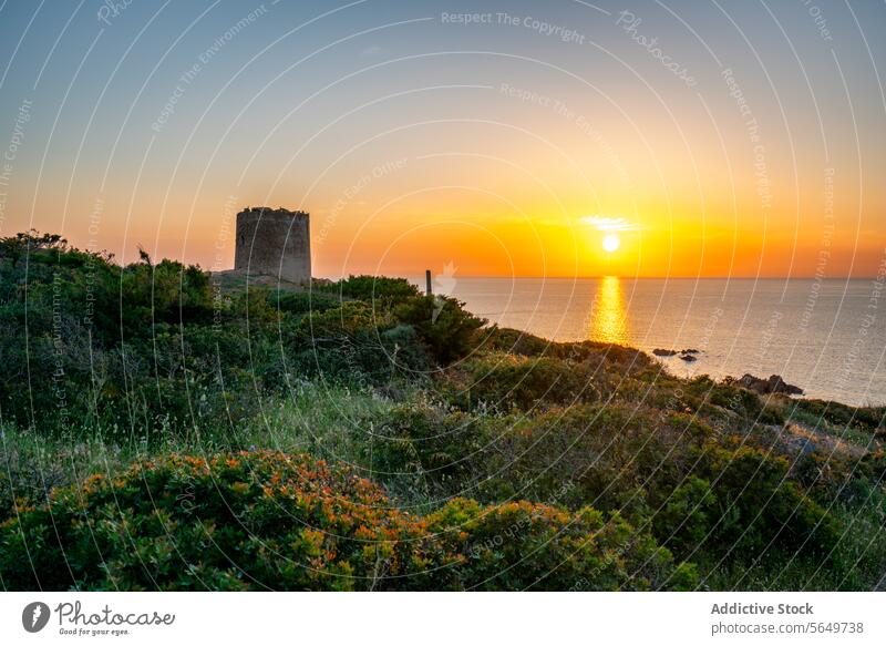 Turm und Pflanzen an der Küste bei Meereslandschaft Verlassen historisch Gebäude Außenseite grün MEER Wasser Natur üppig (Wuchs) wachsen erstaunlich Festung