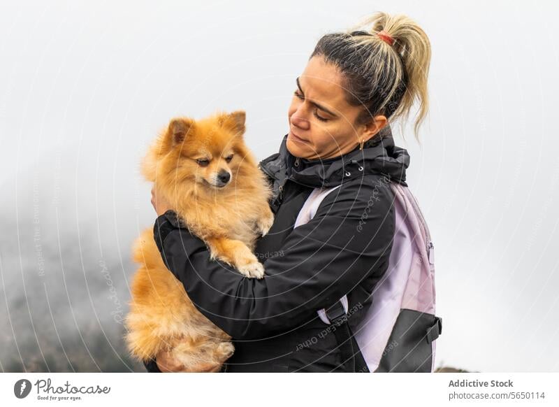 Seitenansicht einer Frau mit Hund in den Bergen Pommern Beteiligung im Freien Cumbres del Ajusco Nationalpark Pico del aguila neblig Berge u. Gebirge