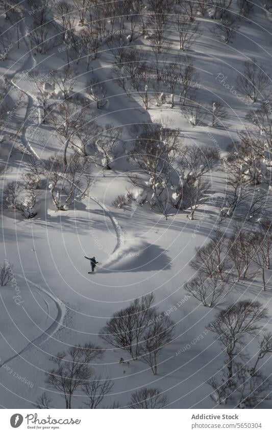 Aktive Person beim Snowboardfahren in verschneiter Landschaft Snowboarding Schnee Baum Winter Feiertag von oben Japan anonym sorgenfrei aktiv Snowboarder