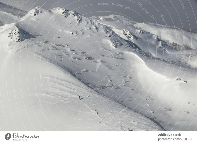 Draufsicht auf eine Person beim Wandern in den verschneiten Alpen Snowboard Mast Wanderung Spaziergang Berge u. Gebirge Rückansicht unkenntlich aktiv Winter