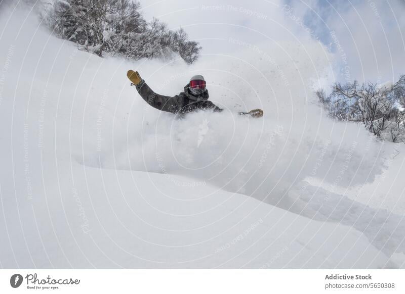 Aktive Person beim Snowboardfahren auf einem verschneiten Hügel Snowboarding Abenteuer Schnee Berge u. Gebirge Nackter Baum Himmel Urlaub genießen Japan