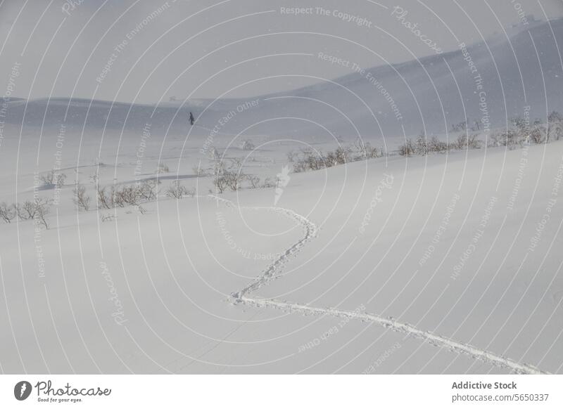 Fernblick auf einen Wanderer, der auf einem verschneiten Berg spazieren geht Person wandern Schnee Landschaft Winter Japan entfernt Berge u. Gebirge Nebel