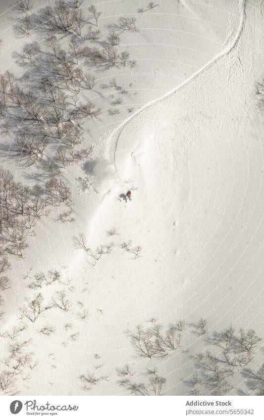 Aktive Person beim Snowboardfahren in verschneiter Landschaft Snowboarding Schnee Baum Winter Feiertag von oben Japan anonym sorgenfrei aktiv Snowboarder