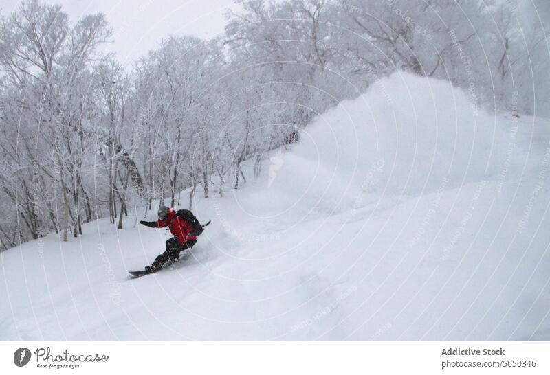 Aktive Person beim Snowboardfahren auf einem verschneiten Hügel Snowboarding Abenteuer Schnee Berge u. Gebirge Nackter Baum Himmel Urlaub genießen Japan