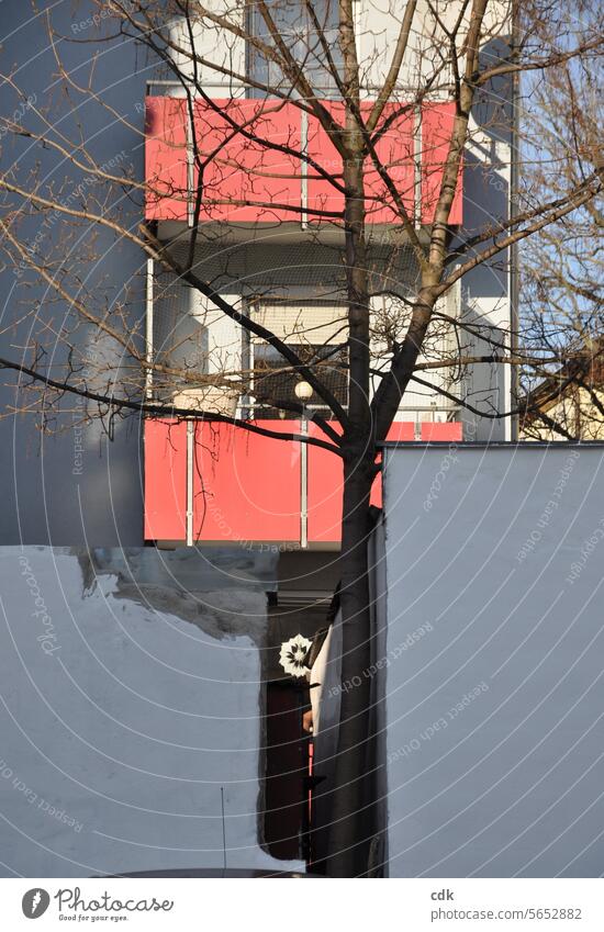 dazwischen stehen | Zwischenraum | urbane Hinterhof-Idylle mit Baum und Stern. Haus Wohnhaus Mietshaus städtisch Stadt Wohnungen Balkone Mauern verschachtelt