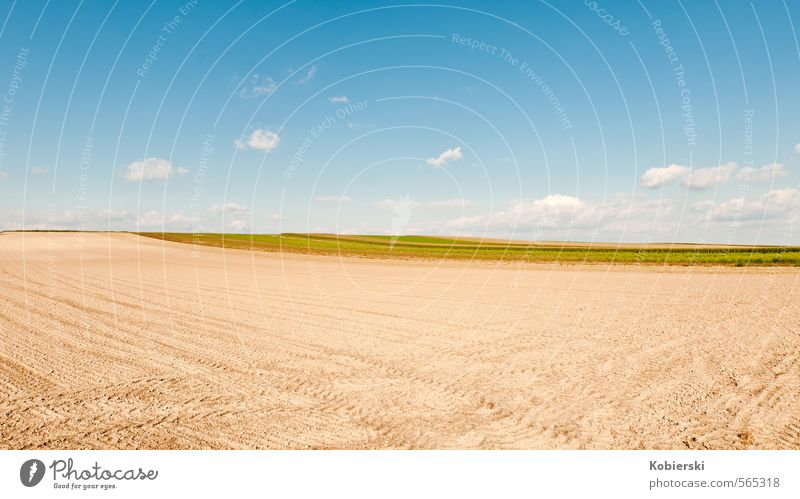 nach der Ernte Lebensmittel Getreide Landwirtschaft Erde Sand Himmel Wolken Herbst Feld Feldarbeit Essen natürlich blau braun gelb Business Einsamkeit Identität