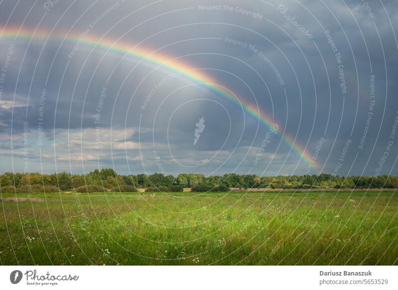 Ein schöner Regenbogen am Himmel über einer grünen Wiese und einem Wald, Czulczyce, Ostpolen bedeckt idyllisch Wetter im Freien Sommer Landschaft Gras Weide