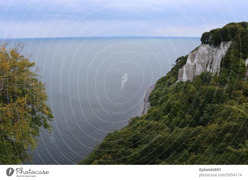 Blick auf die weißen Kreidefelsen des Nationalparks Jasmund auf der Ostseeinsel Rügen Klippe Kaiserstuhl jasmund White Cliffs Buchenwald Insel