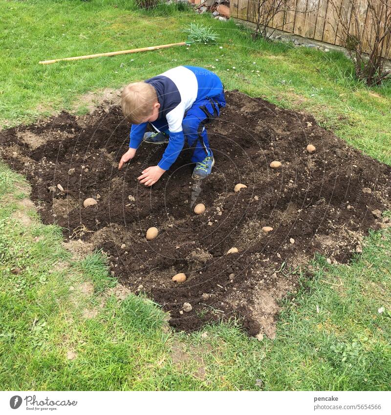 schaun wir mal was wird | aus kindern und kartoffeln Kind Junge Beet anpflanzen Kartoffeln Zukunft wachsen Garten Gartenarbeit Wachstum Erde Gemüse Gemüsegarten