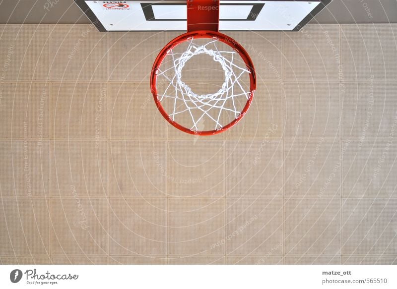 viel zu klein zum Stopfen Freizeit & Hobby Spielen Sport Ballsport Basketball Basketballkorb Sportstätten Sporthalle Decke Netz Kreis Holzbrett hoch sportlich