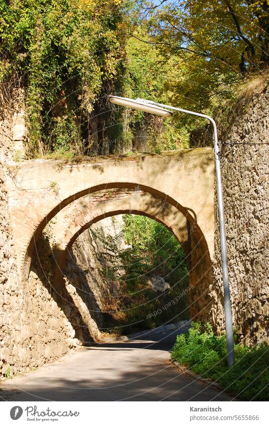 Durch einen alten Torbogen geht man von Wien-Nussdorf hinaus in die Weinberge. Mauer Mauerwerk historisch Weg Wanderweg Stadtwanderweg Österreich Natur