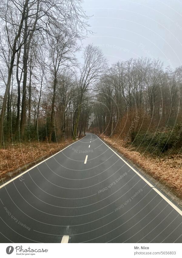 Landstraße Asphalt Autofahren Verkehr unterwegs Straßenverkehr leere Straße Verkehrswege Wege & Pfade Roadmovie Fahrbahn roadtrip zweispurig Straßenrand