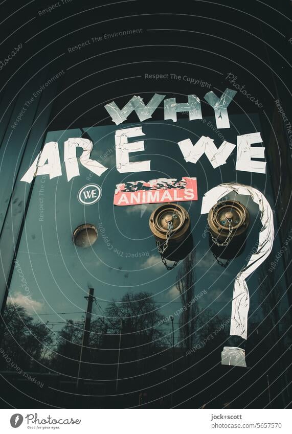 WHY ARE WE WE ANIMALS? Why are we? we animals Straßenkunst Schriftzeichen Englisch Fragezeichen Kreativität Reflexion & Spiegelung Großbuchstabe Typographie