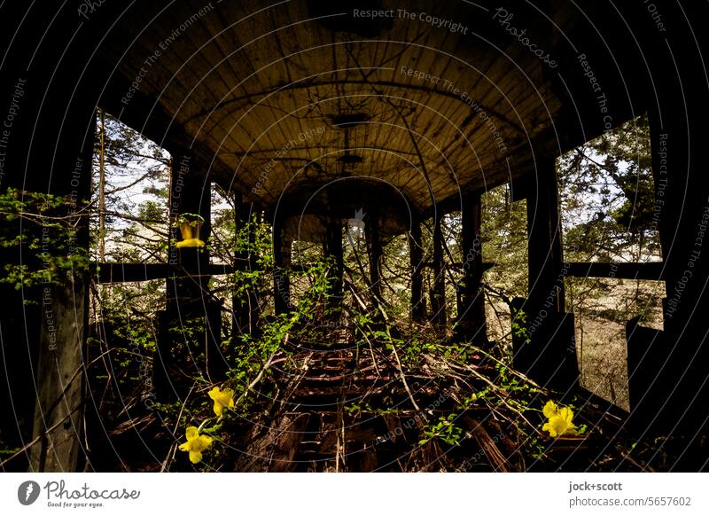 Geisterzug und die Natur holt sich alles zurück Endzeitstimmung Renaturierung Wandel & Veränderung lost places Silhouette geheimnisvoll verlassen kaputt