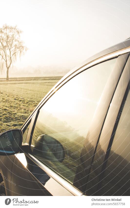 ein diesiger aber sonniger Morgen im Januar Birke Auto Schönes Wetter Sonnenlicht Baum Landschaft Natur Umwelt hell schön natürlich diesiges Wetter Nebel